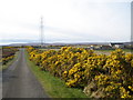 ND1428 : Farm buildings and pylon on the C class road South of Dunbeath by John Ferguson