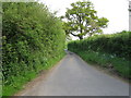 Ridge Lane, towards Ridge Farm