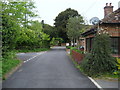 Roman Road, Middle Winterslow