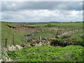 Glen of the Borland Burn