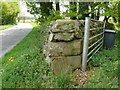 Stane Wall