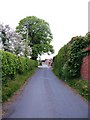 Back Lane South, Tollerton