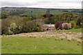 Pasture above Burn House