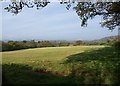 Field near Hollis Head