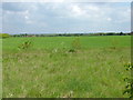 Westley airfield site from footpath