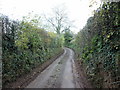 Lane approaching Pentwyn Cottage