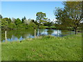 Pond near Humphreston Hall