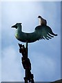 Weather cock, All Saints Church