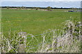 R3269 : Pasture at Islandavanna Lower by Graham Horn