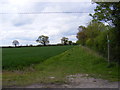 Footpath to Lowes Hill