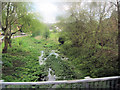 Stream at Collingbourne Ducis