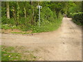 Footpath junction on Prettymans Lane