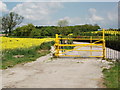 Yellow gate and yellow rape