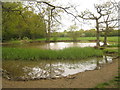 Pond near Skinners Lane