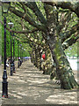 Footpath at The Embankment