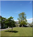 Dartington Hall Courtyard