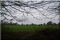 Rugby posts, Horsham Rugby Union Football Club, Doomsday Green