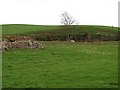 Quarry , Bruntshiels