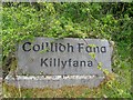 H4217 : Coillidh Fana (Killyfana) by Kenneth  Allen