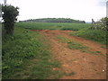 Field near Horley