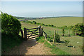 View to sea from bridleway junction