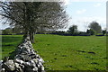 R3170 : Pasture at Teermaclane by Graham Horn