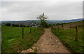 Bridleway on Hough Hill