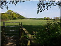 Distant view of Ridge Lane masts