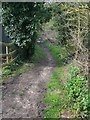 Footpath, Little Cheverell