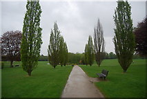 TQ1730 : Tree lined track, Horsham Park by N Chadwick