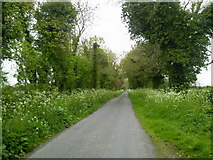 N9347 : Country Road, Co Meath by C O'Flanagan