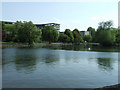 The Great Ouse and Borough Hall