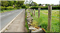 The Downpatrick Road, Strangford