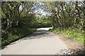 Down the lane nr Lostwithiel