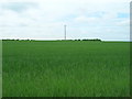 Farmland off Trundle Gate