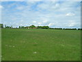 Farmland off Brick Dike Lane