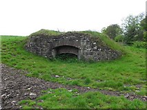 H6059 : Lime kiln, Greenhill by Kenneth  Allen