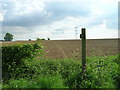 Footpath over field near Rowley