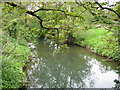 The River Brit flowing towards Bridport