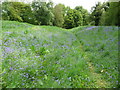 SO3606 : Bluebells on the hillfort, Coed y Bwnydd by Jeremy Bolwell