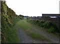 A farm track off Carrigs Road