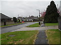 Grass verge in Elmstone Close