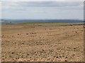 NY5775 : Panorama from the cairn north of Borderrigg (5: WNWb - The Pike) by Mike Quinn