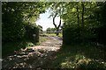 Gateway for Boconnoc Estate