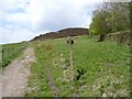 Bridleway junction near Orchan Rocks, Todmorden