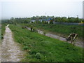 Footpath near the civic amenity site