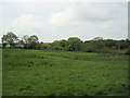 Farmland just west of Slepe