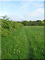 Footpath towards Albrighton Hall