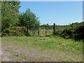 Disused tip, Bisley Ranges