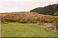 Field and rough grazing near Bohuntine